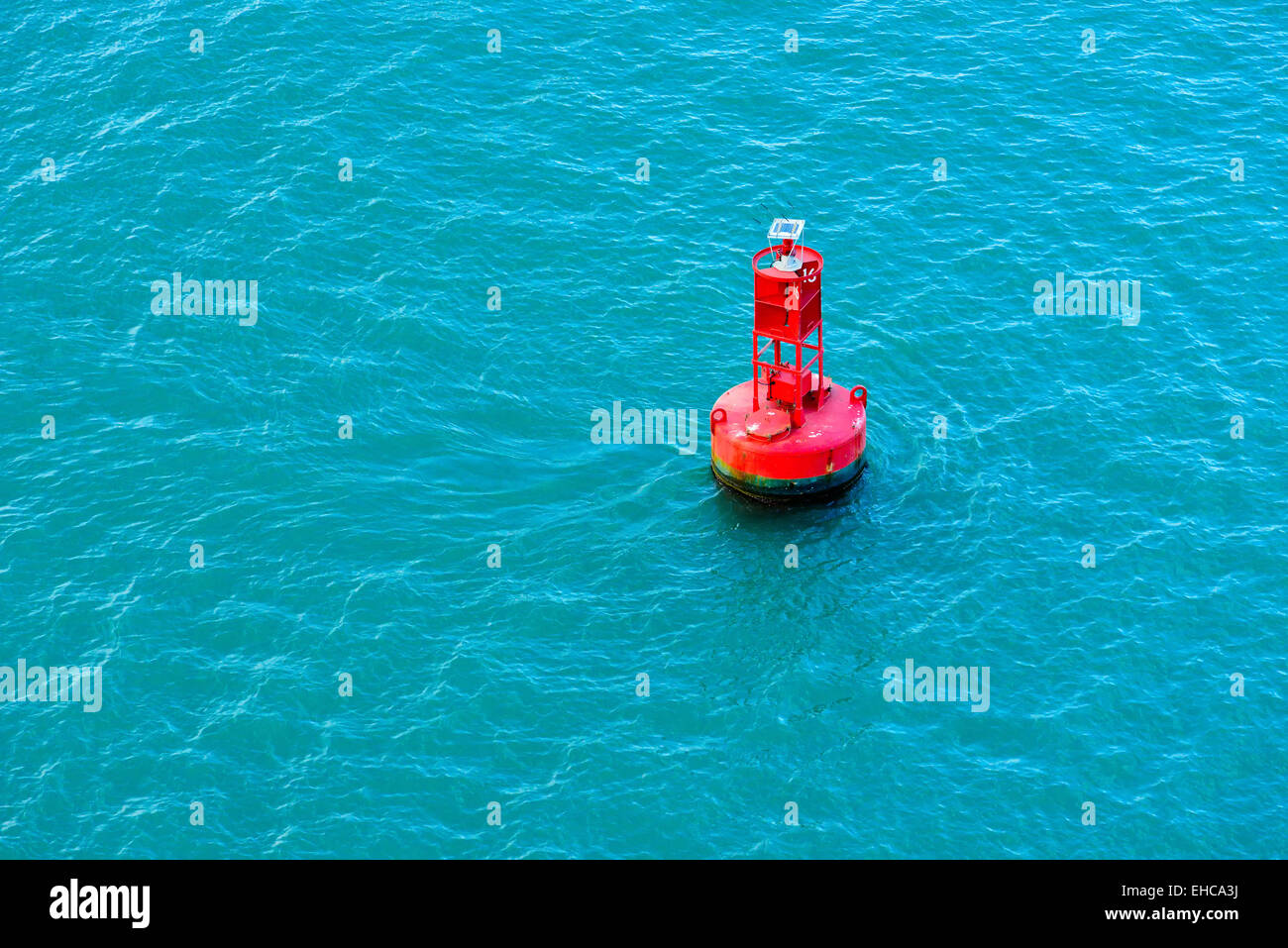 Boa rossa Foto Stock