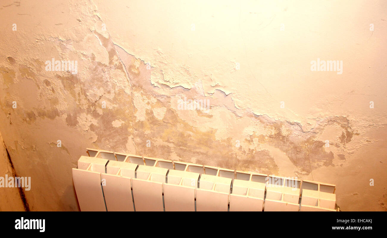 Tasso di umidità in una parete con un radiatore di riscaldamento acqua problema Foto Stock