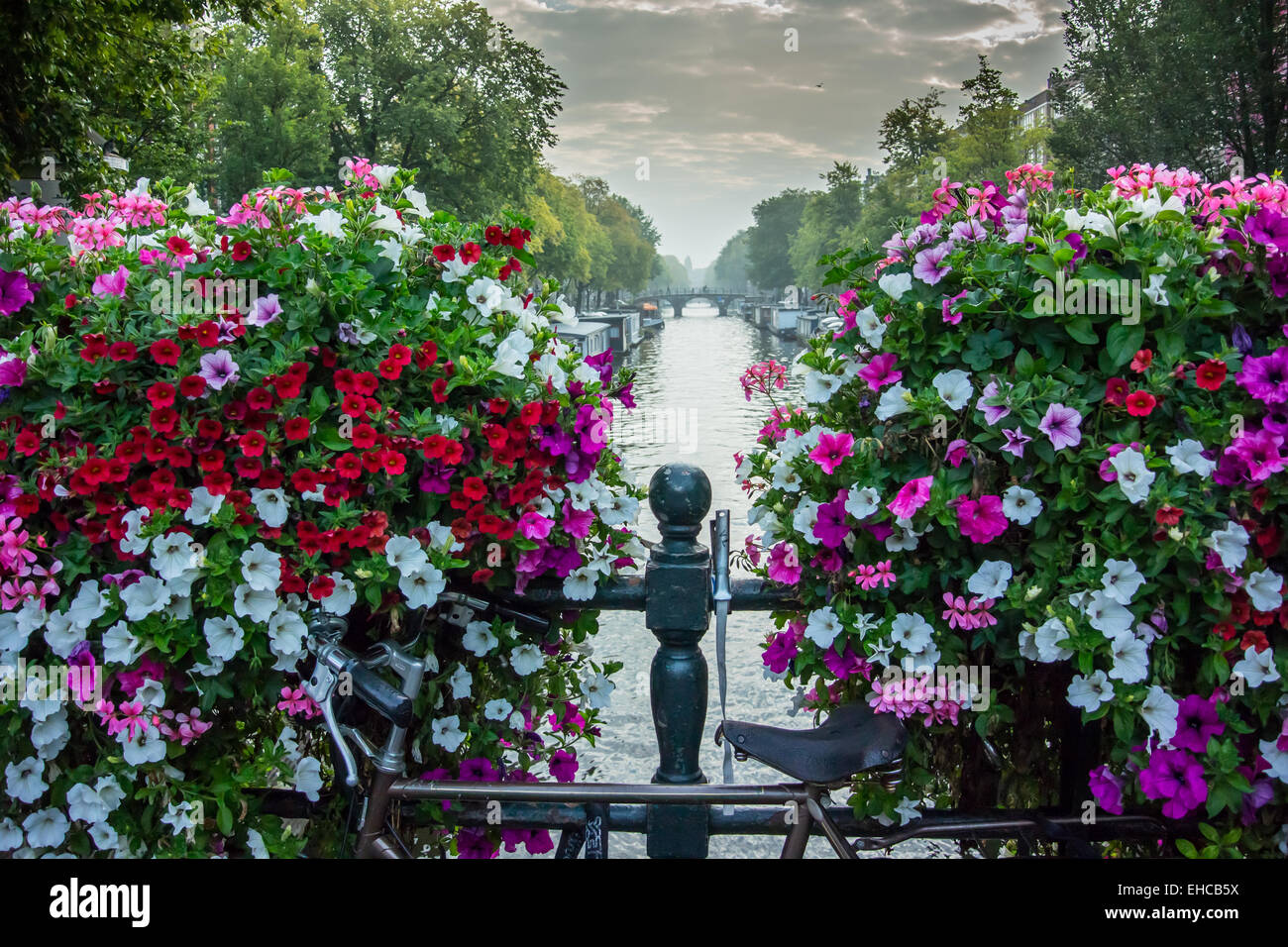 Rosa, Rosso e bianco gerani fioriscono in grandi cesti di fiori lungo un ponte su un canale in Amsterdam Foto Stock