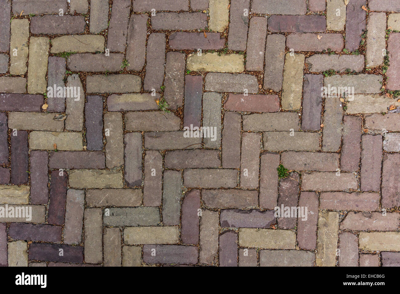 In una piccola città nel Nord Europa, mattoni disposti in una struttura a lisca di pesce formano un vialetto Foto Stock