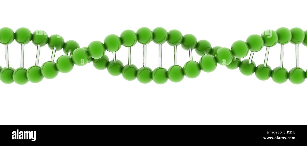 Verde 3d modello di DNA su sfondo bianco. Foto Stock