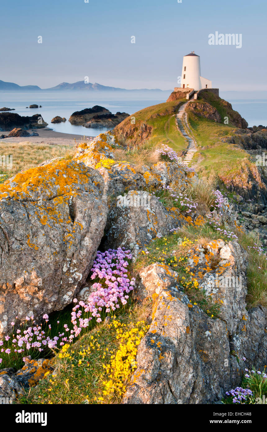 Tŵr Mawr Lighthouse supportato da Lleyn Peninsula, Llanddwyn Island, Anglesey, Galles del Nord, Regno Unito Foto Stock