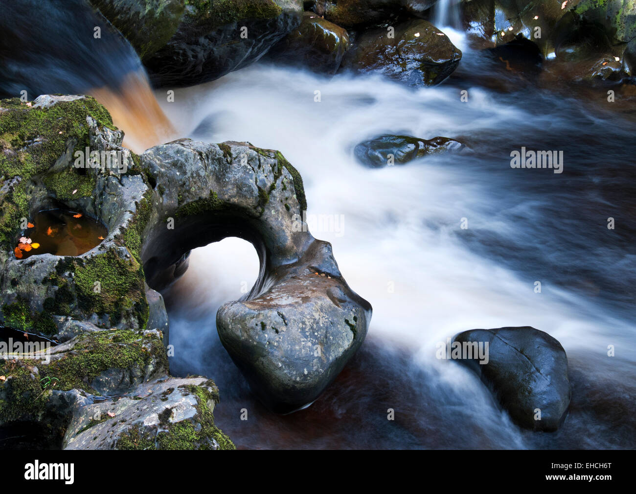 Modelli di roccia in Afon Conwy, il Fairy Glen, vicino a Betws Y Coed, Snowdonia, Galles del Nord, Regno Unito Foto Stock