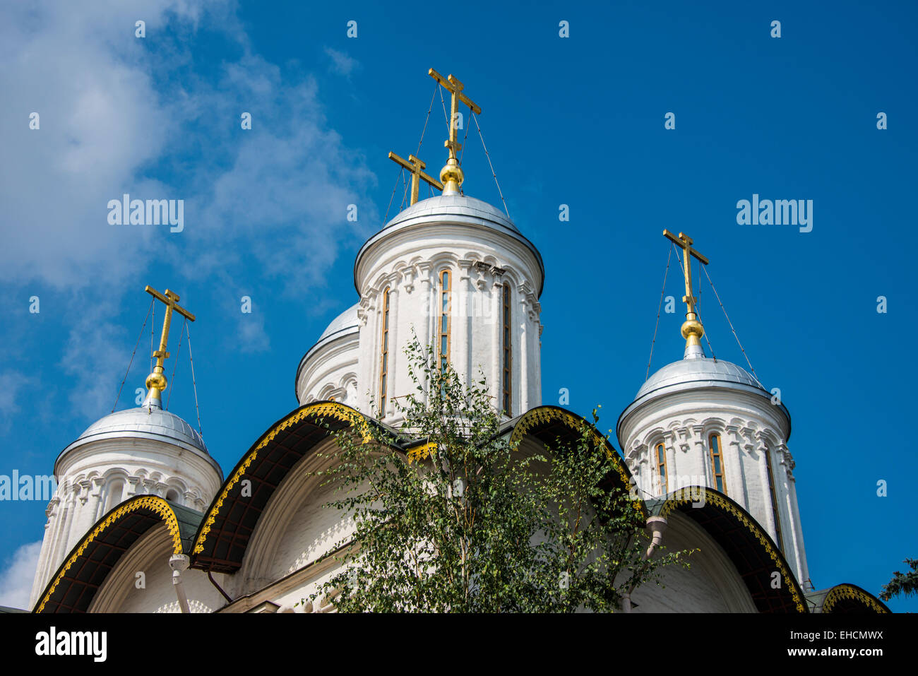 Torri, il Cremlino di Mosca, Russia Foto Stock