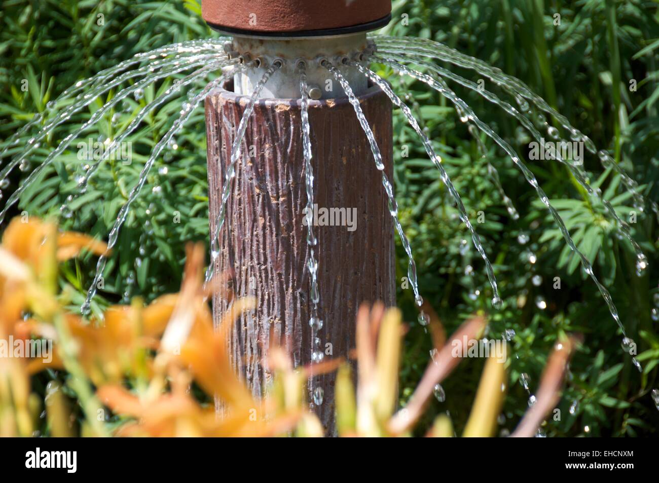 Berlino garten immagini e fotografie stock ad alta risoluzione Alamy