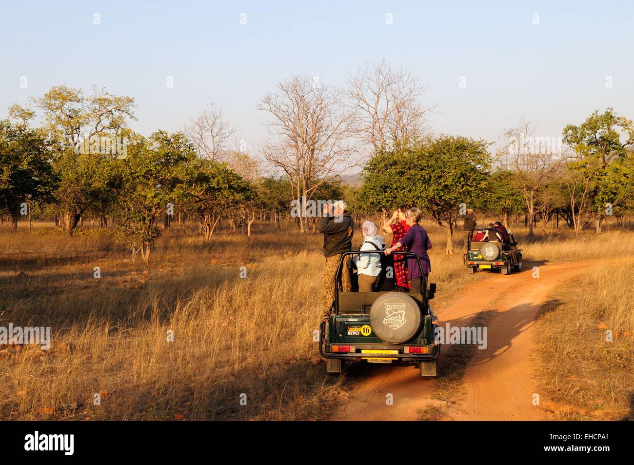 Le guide e i turisti in cerca di animali da jeep al Parco Nazionale di Panna Riserva della Tigre Chhatarpur Madhya Pradesh India Foto Stock