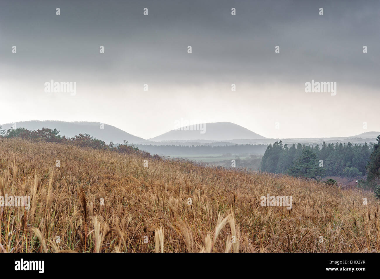 Vista dalla cima del cratere Sangumburi in Jeju Island Foto Stock