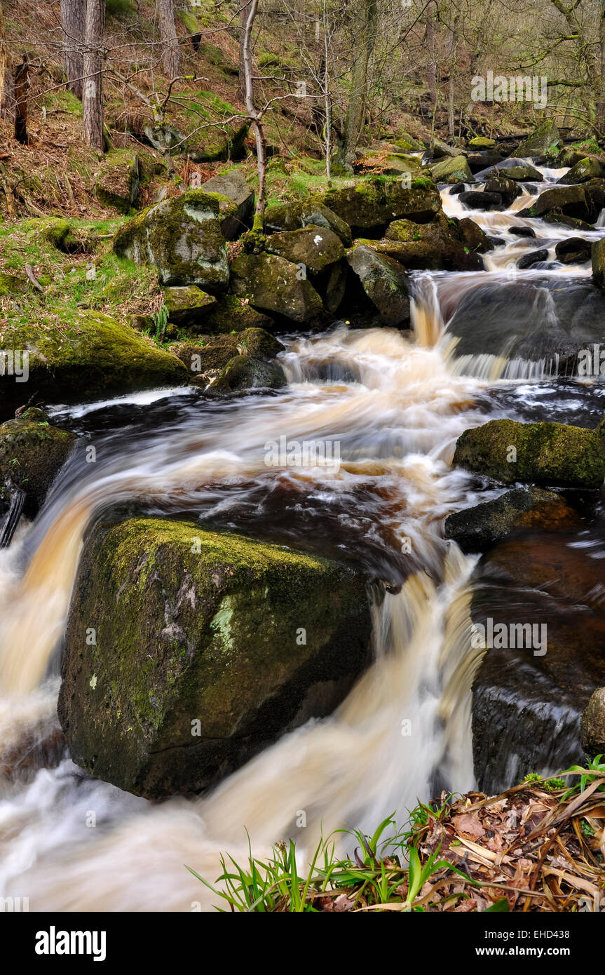 Acqua corrente di Padley gola nel Peak District, Derbyshire. Foto Stock