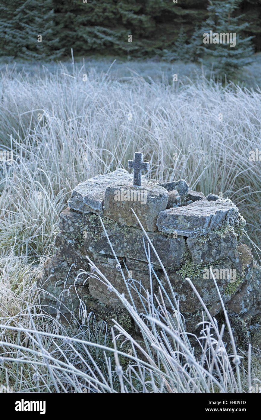 Inverno trasformata per forte gradiente la brina e il memorial, Lewis burn, kielder forest, Northumberland, Inghilterra, Regno Unito. Foto Stock