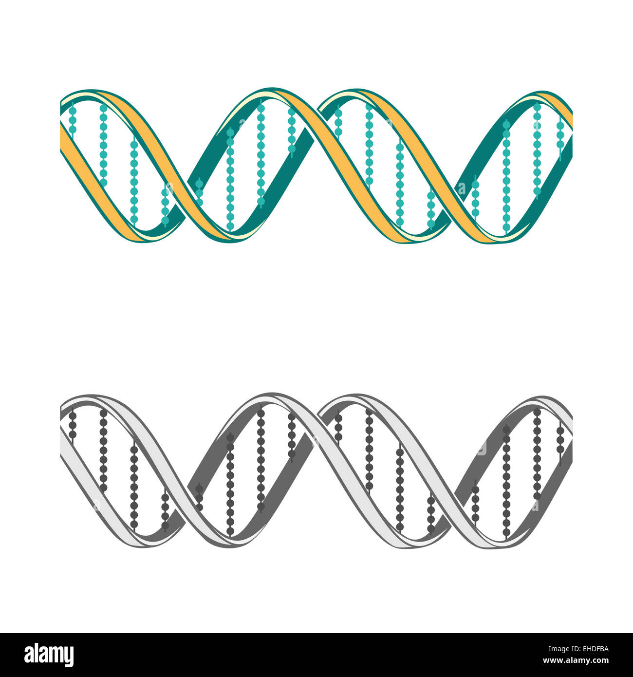 Set di due simboli di DNA su sfondo bianco. Illustrazione Foto Stock