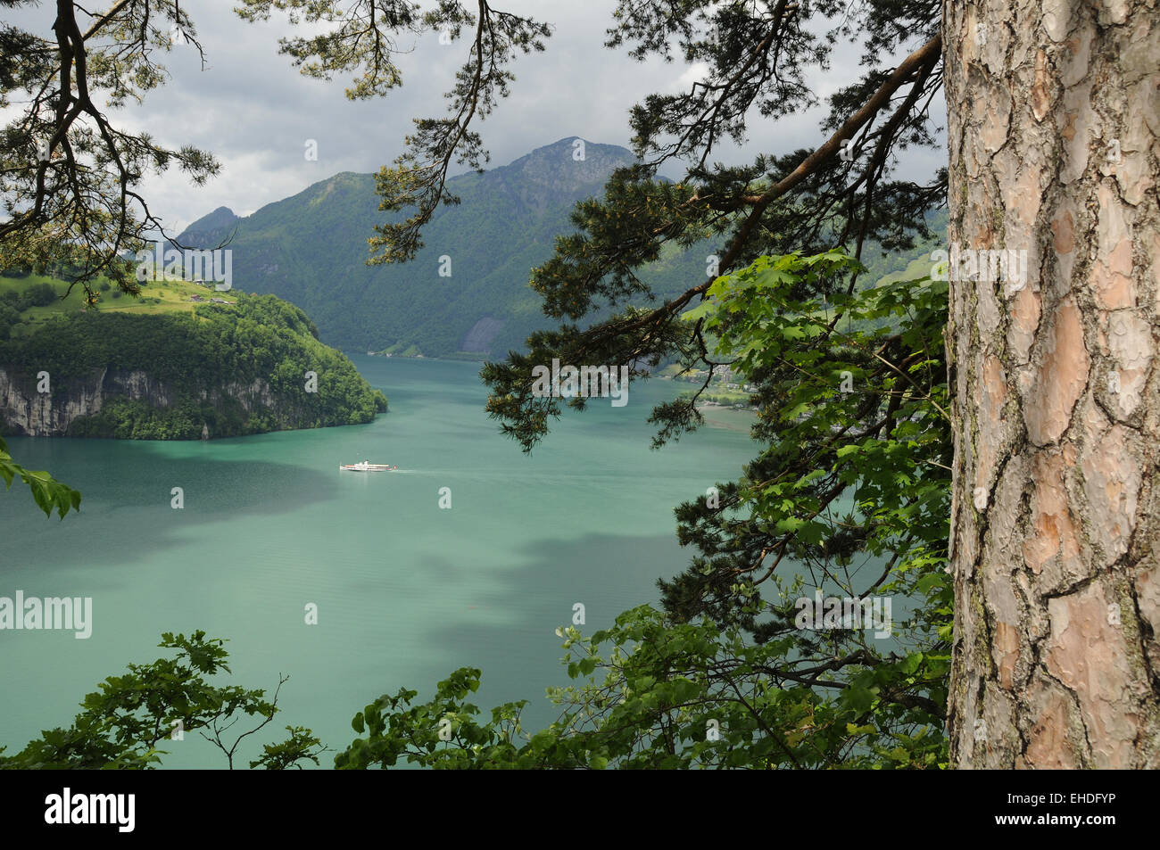 Viste sul lago di Lucerna Foto Stock