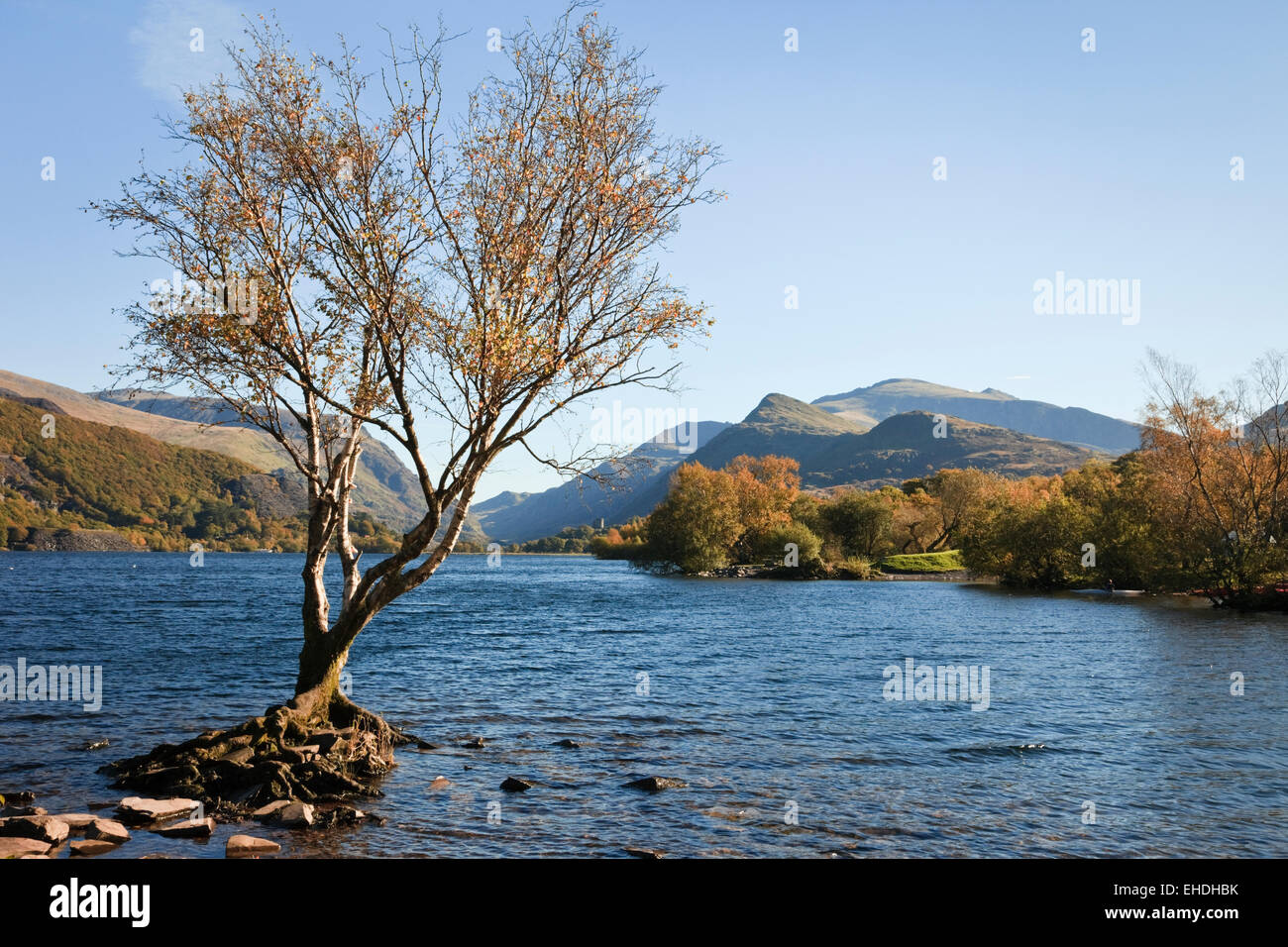 Vista lungo Llyn Padarn Lake a Mount Snowdon nel Parco Nazionale di Snowdonia in autunno. Llanberis, Gwynedd, il Galles del Nord, Regno Unito, Gran Bretagna Foto Stock