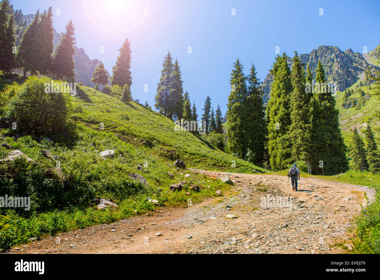 Estate in montagna in Asia centrale Foto Stock