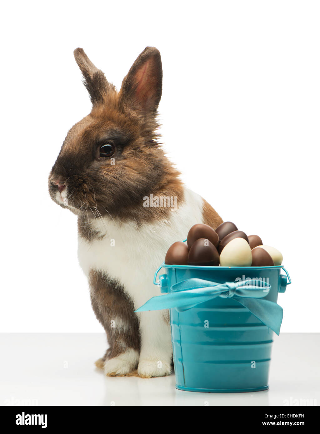 Coniglietto marrone con uova di cioccolato Foto Stock