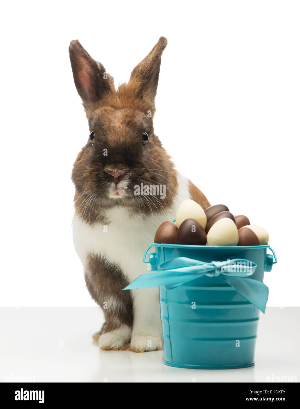Simpatico coniglietto è vicino a uova di cioccolato Foto Stock