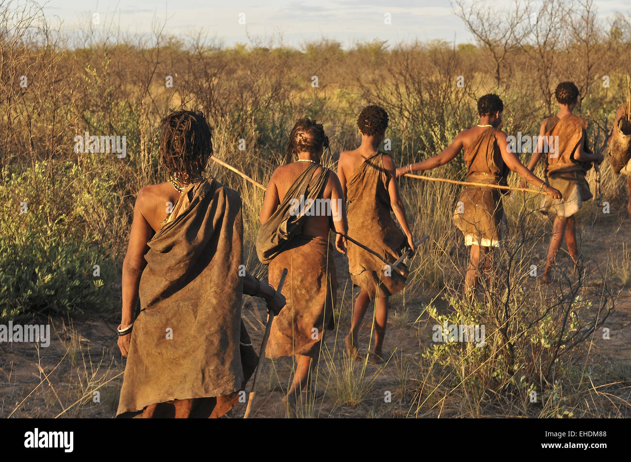 I Boscimani nel deserto del Kalahari Foto Stock