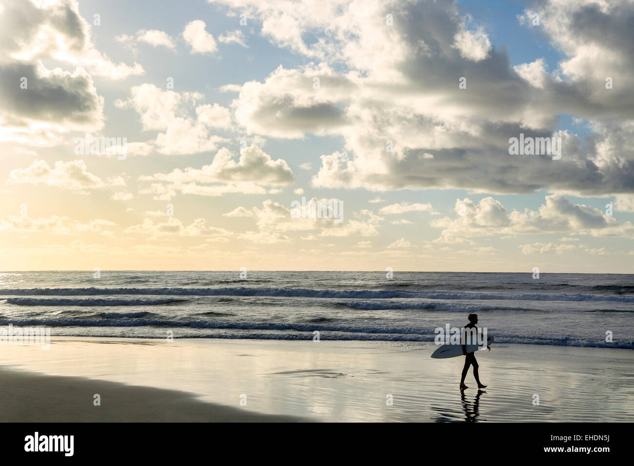 Surfista maschio passeggiate sulla spiaggia al tramonto, La Jolla, California Foto Stock