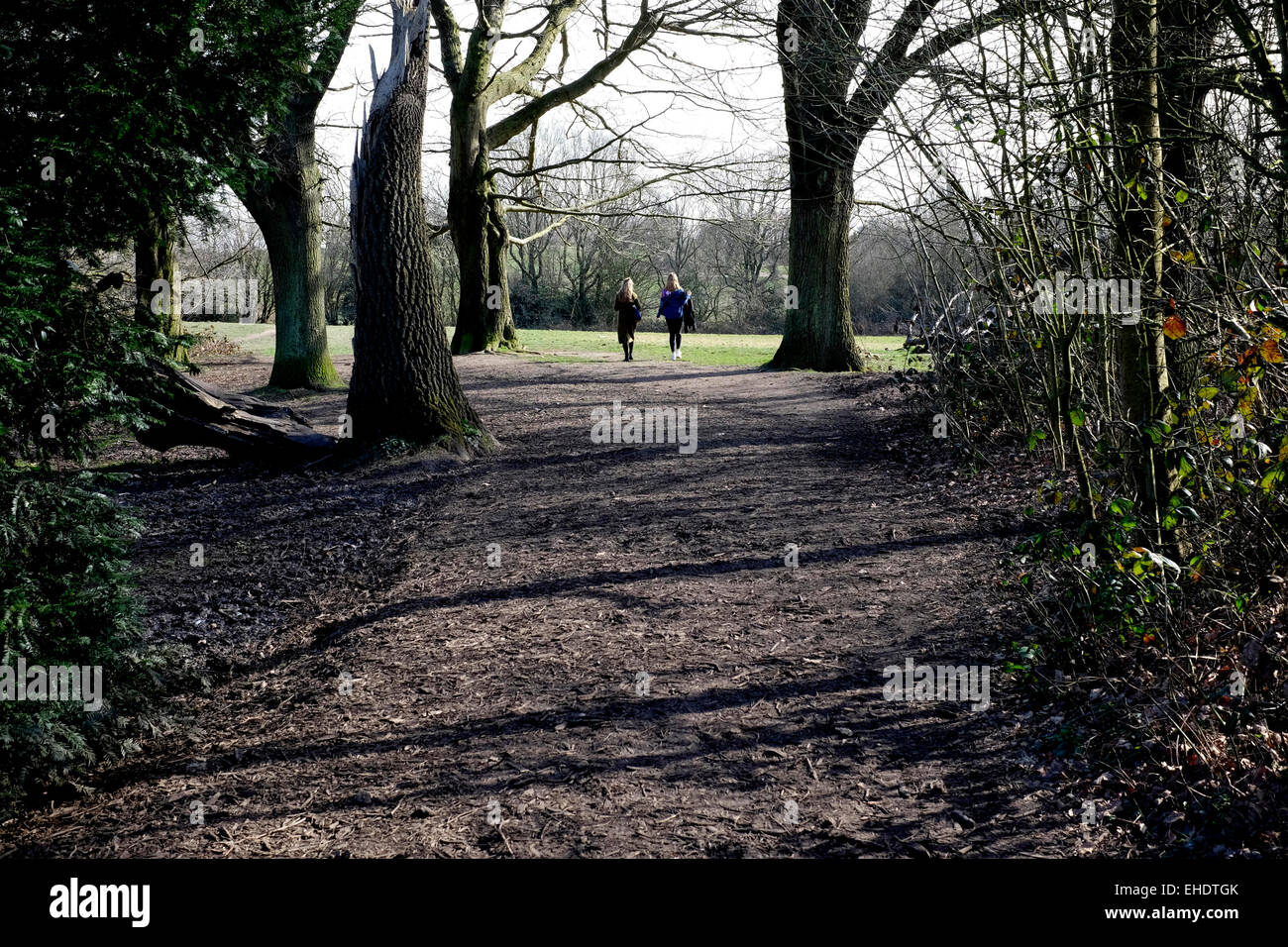 Una vista posteriore di due donne a piedi a Hampstead Heath Foto Stock Una vista posteriore di due donne a piedi a Hampstead Heath Foto Stock
