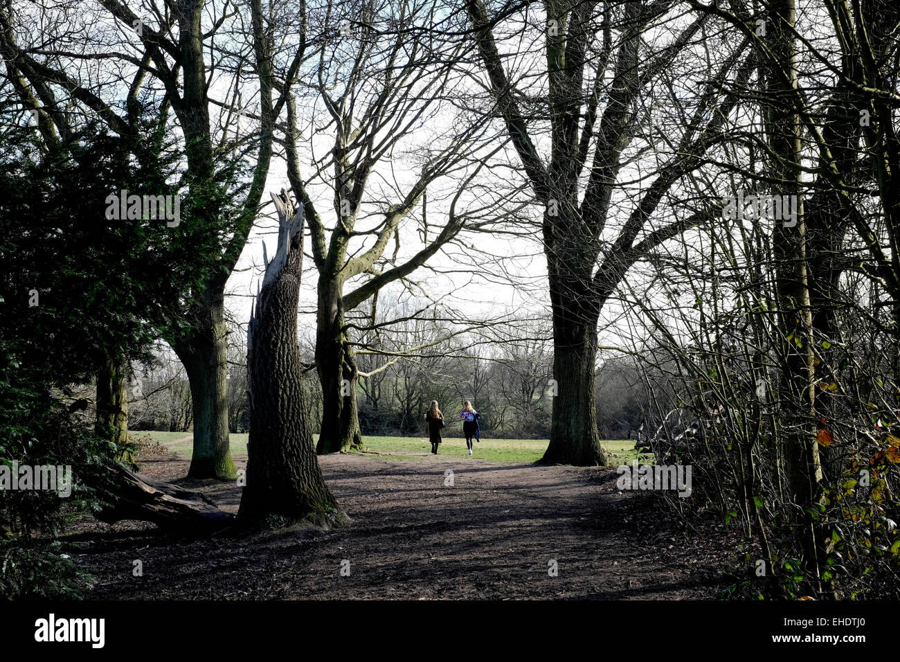 Una vista posteriore di due donne a piedi a Hampstead Heath Foto Stock Una vista posteriore di due donne a piedi a Hampstead Heath Foto Stock