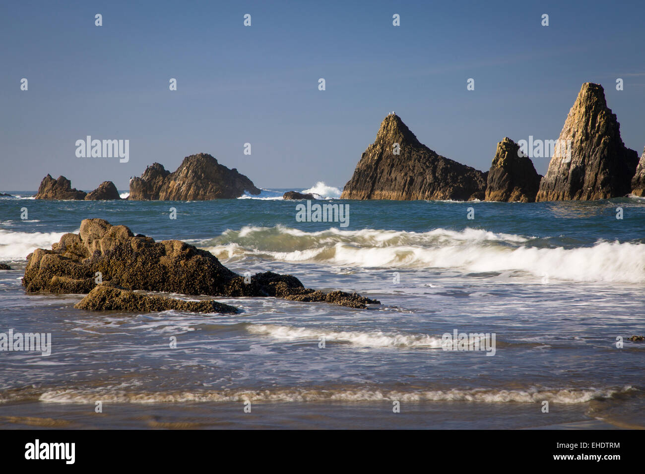 Rocce lungo la costa a Seal Rock Beach, Oregon, Stati Uniti d'America Foto Stock