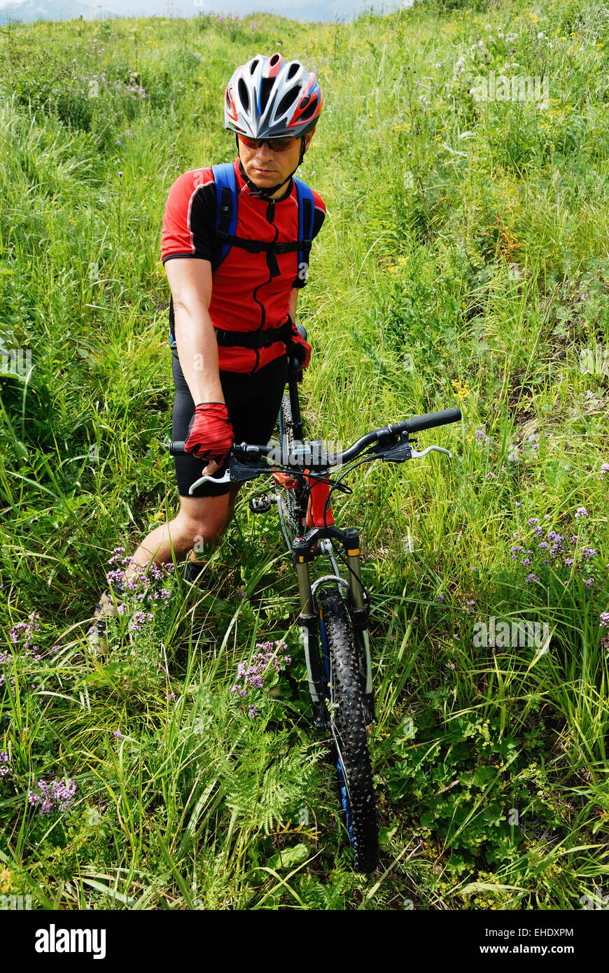 Mountain Biker attende sul campo verde Foto Stock