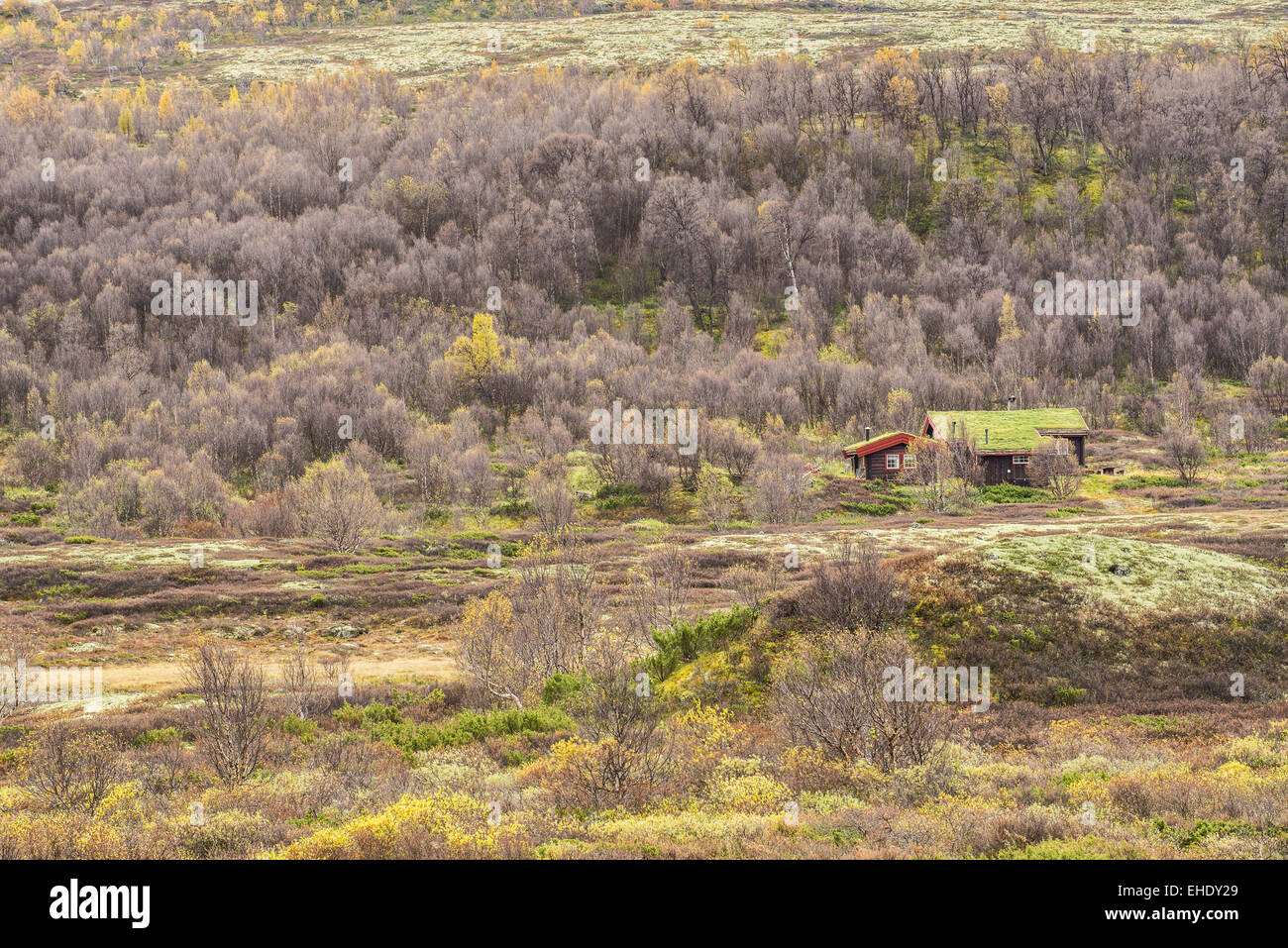 Tipici norvegesi cabina con tetto di tappeto erboso in Rondane National Park, Norvegia Foto Stock