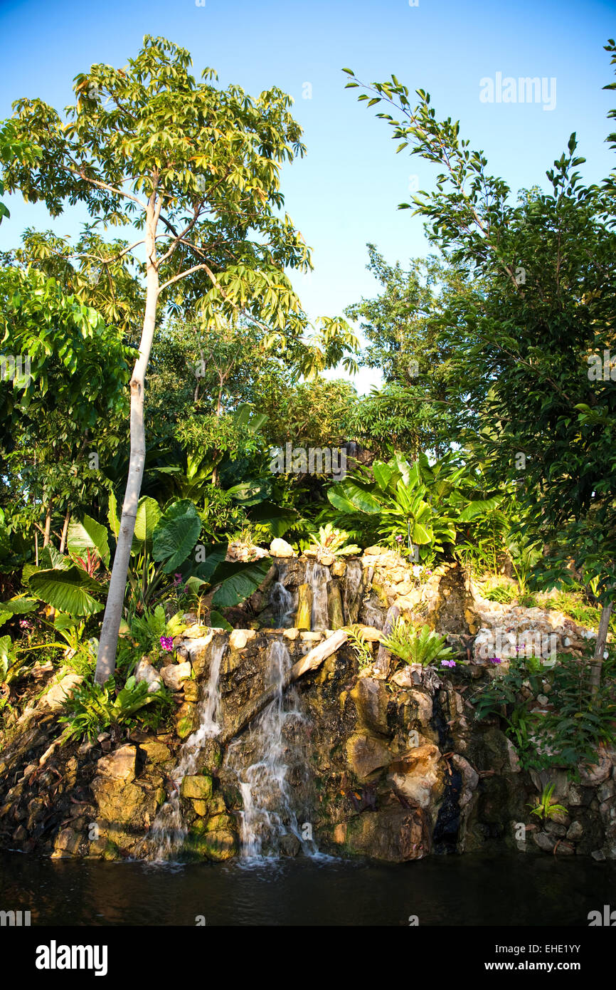 Una cascata nella giungla Foto Stock