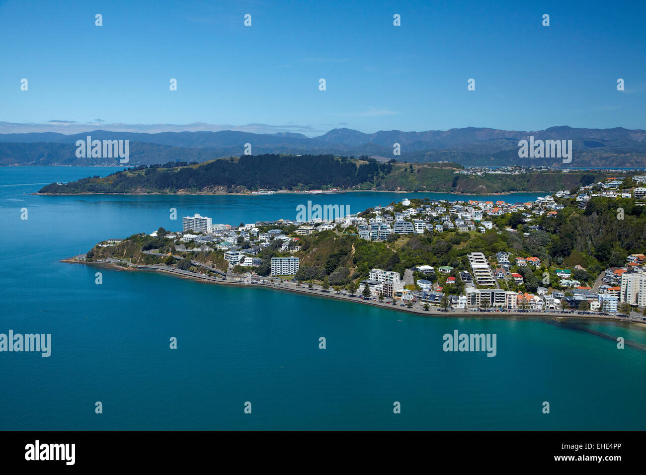 Oriental Bay, punto Jerningham, Evans e Bay, Porto di Wellington, Wellington, Isola del nord, Nuova Zelanda - aerial Foto Stock