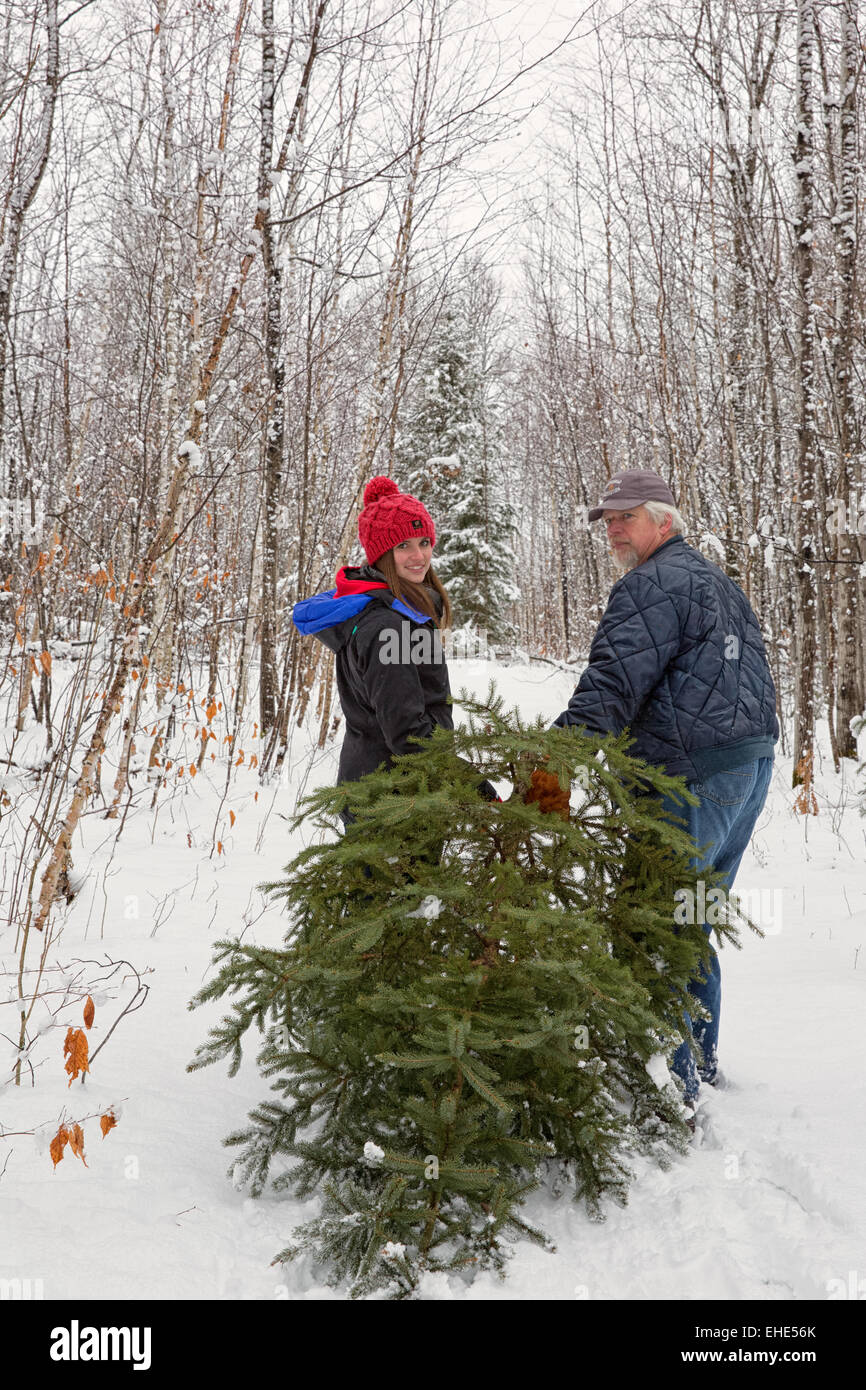 Padre e figlia portando un albero home per decorare per Natale Foto Stock