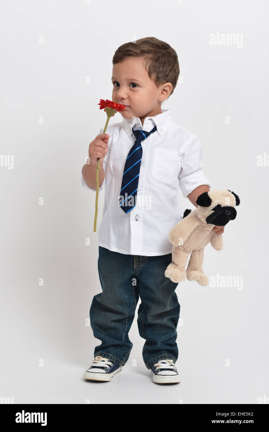 Due anni ragazzo simpatico tenendo un fiore e un peluche che pongono isolato in uno sfondo bianco. Foto Stock