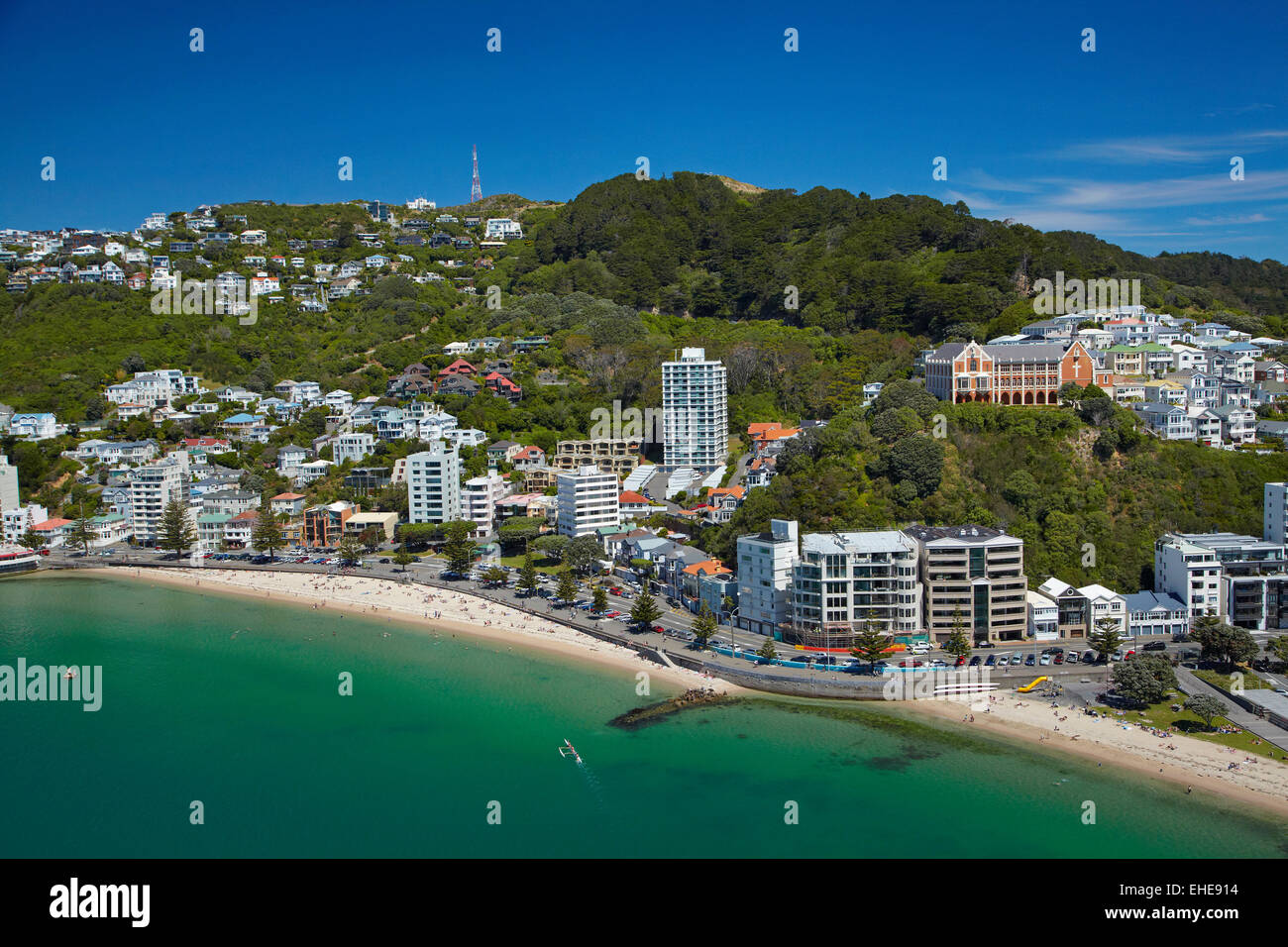 Oriental Bay e Mt Victoria, Wellington, Isola del nord, Nuova Zelanda - aerial Foto Stock