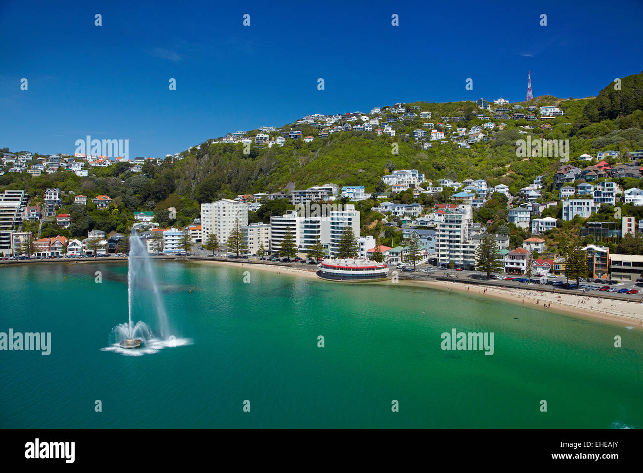 Fontana, Oriental Bay e Mt Victoria, Wellington, Isola del nord, Nuova Zelanda - aerial Foto Stock