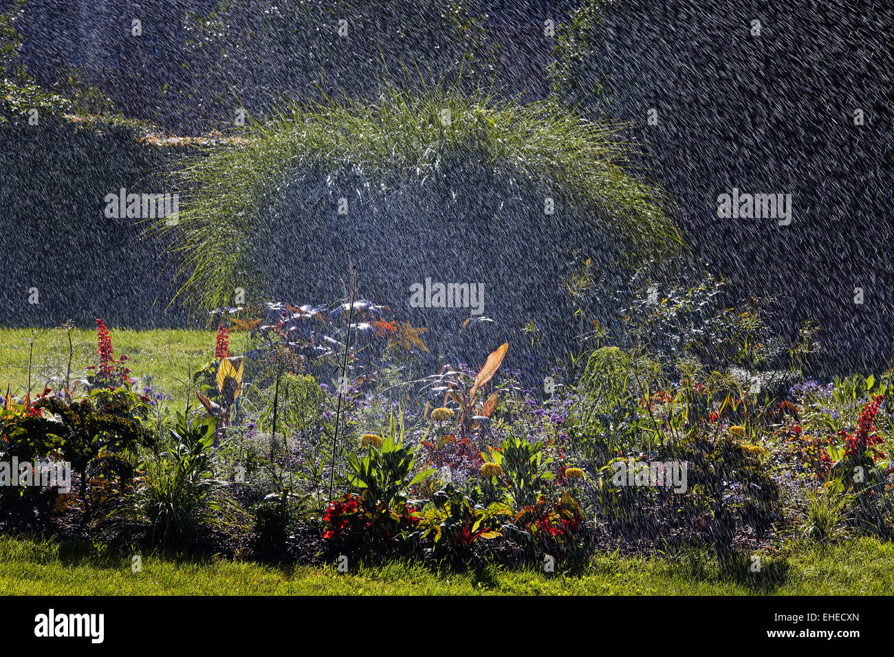 L'acqua degli sprinkler in Riquewihr giardini di fiori Foto Stock