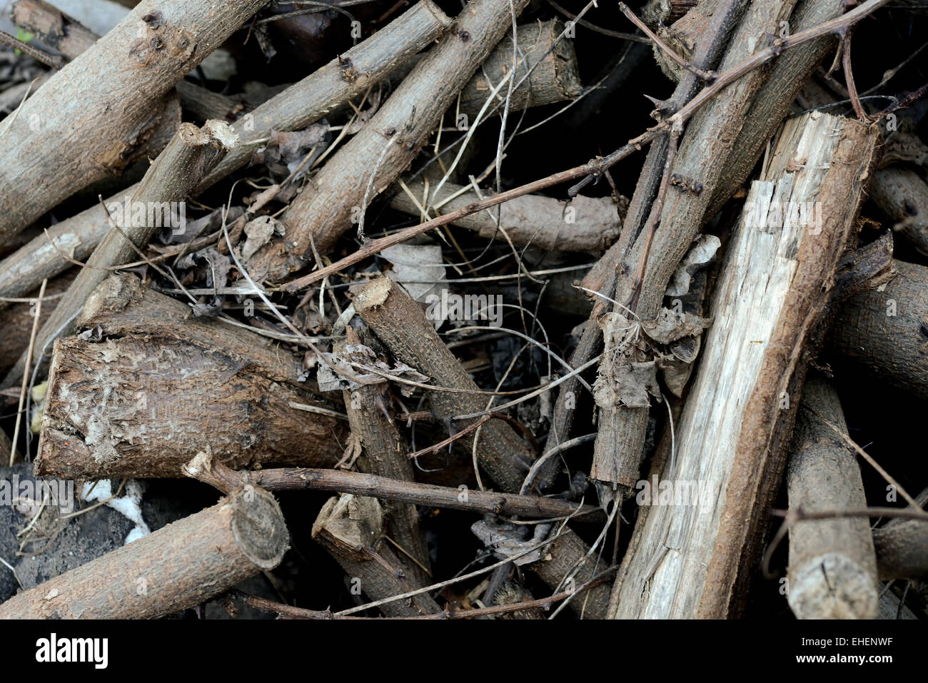 Piccoli pezzi di legno tagliato nella luce naturale Foto Stock
