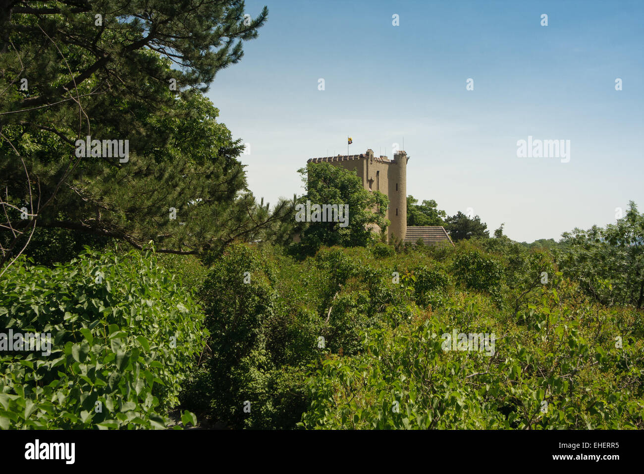 Castello roseburg ballenstedt Foto Stock