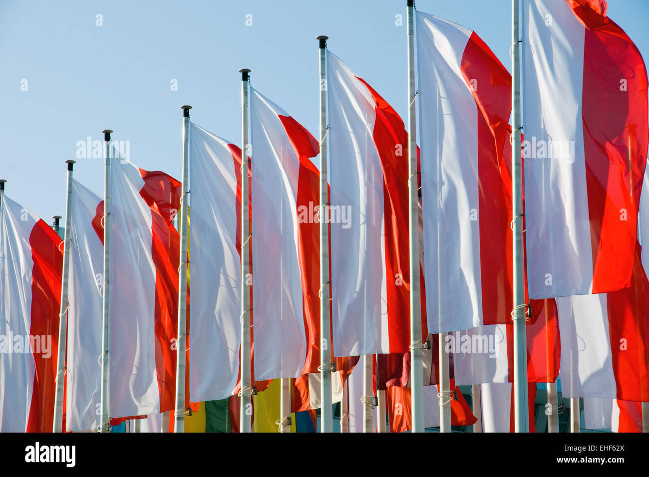 Il bianco e il rosso bandiere polacche Foto Stock