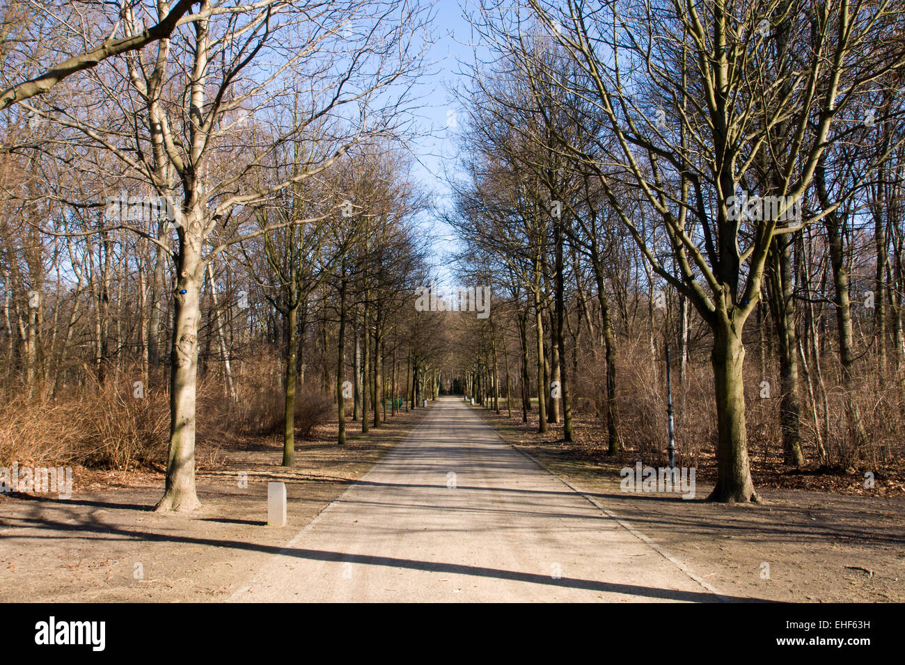 Il Tiergarten in inverno Foto Stock