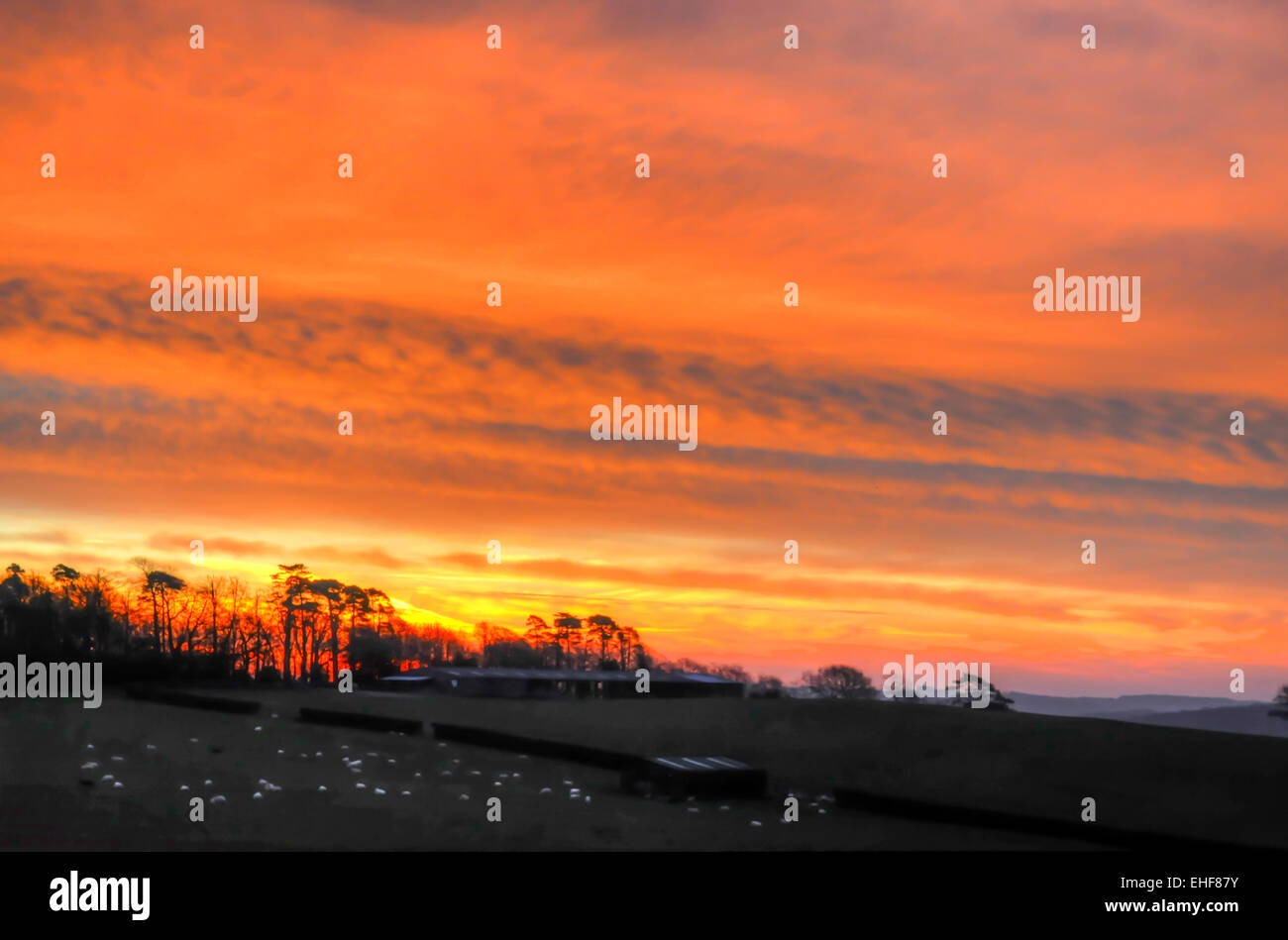 Heathfield, East Sussex, Regno Unito.13 Marzo 2015.fantastici colori nel cielo all'alba su East Sussex campagna. Pecore come batuffoli di ovatta in primo piano.. Credito: David Burr/Alamy Live News Foto Stock