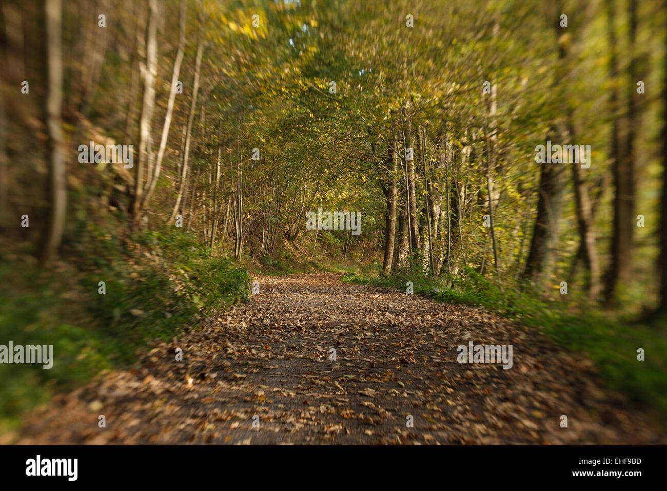 Autunno Foto Stock