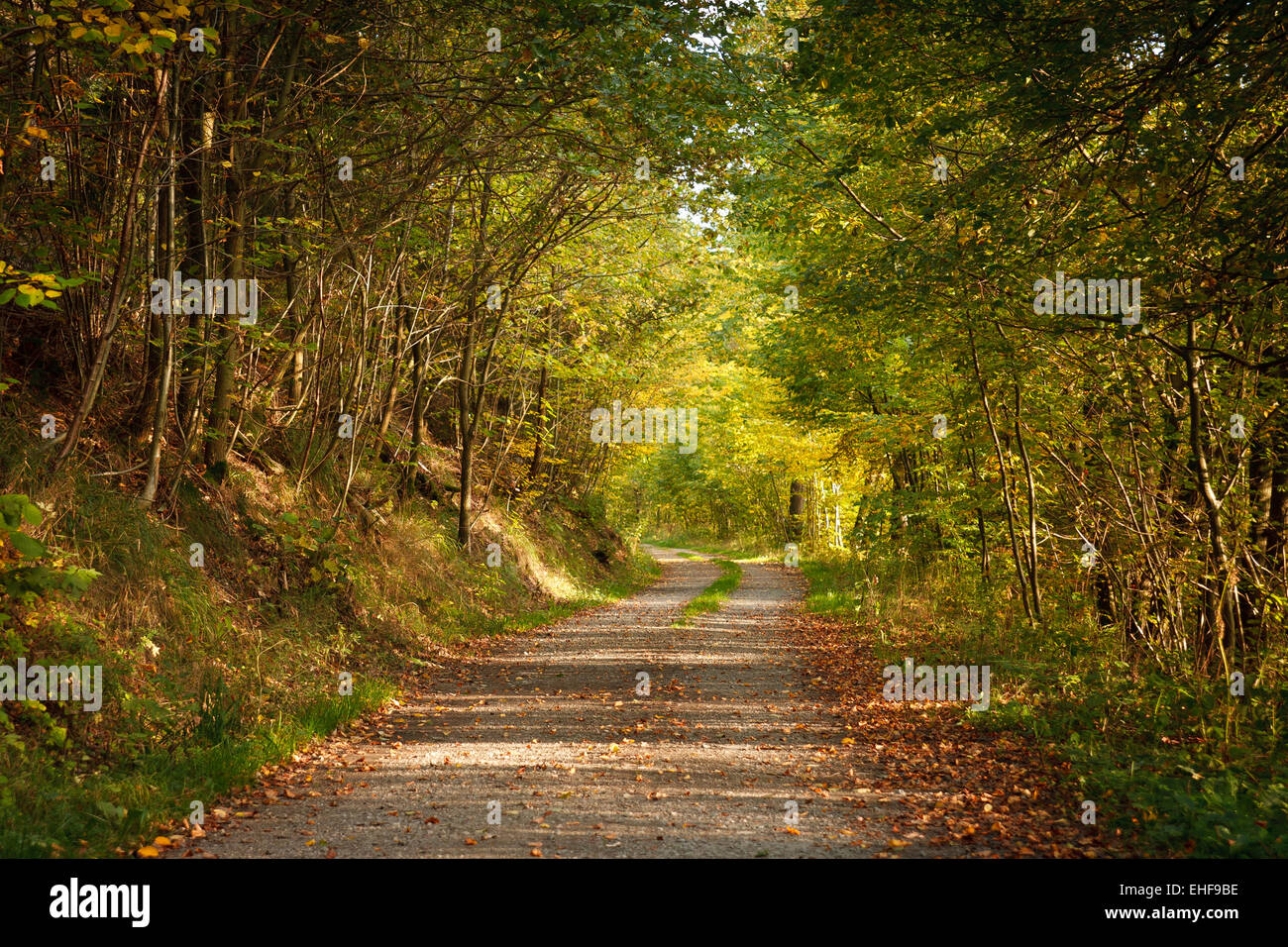 Autunno Foto Stock