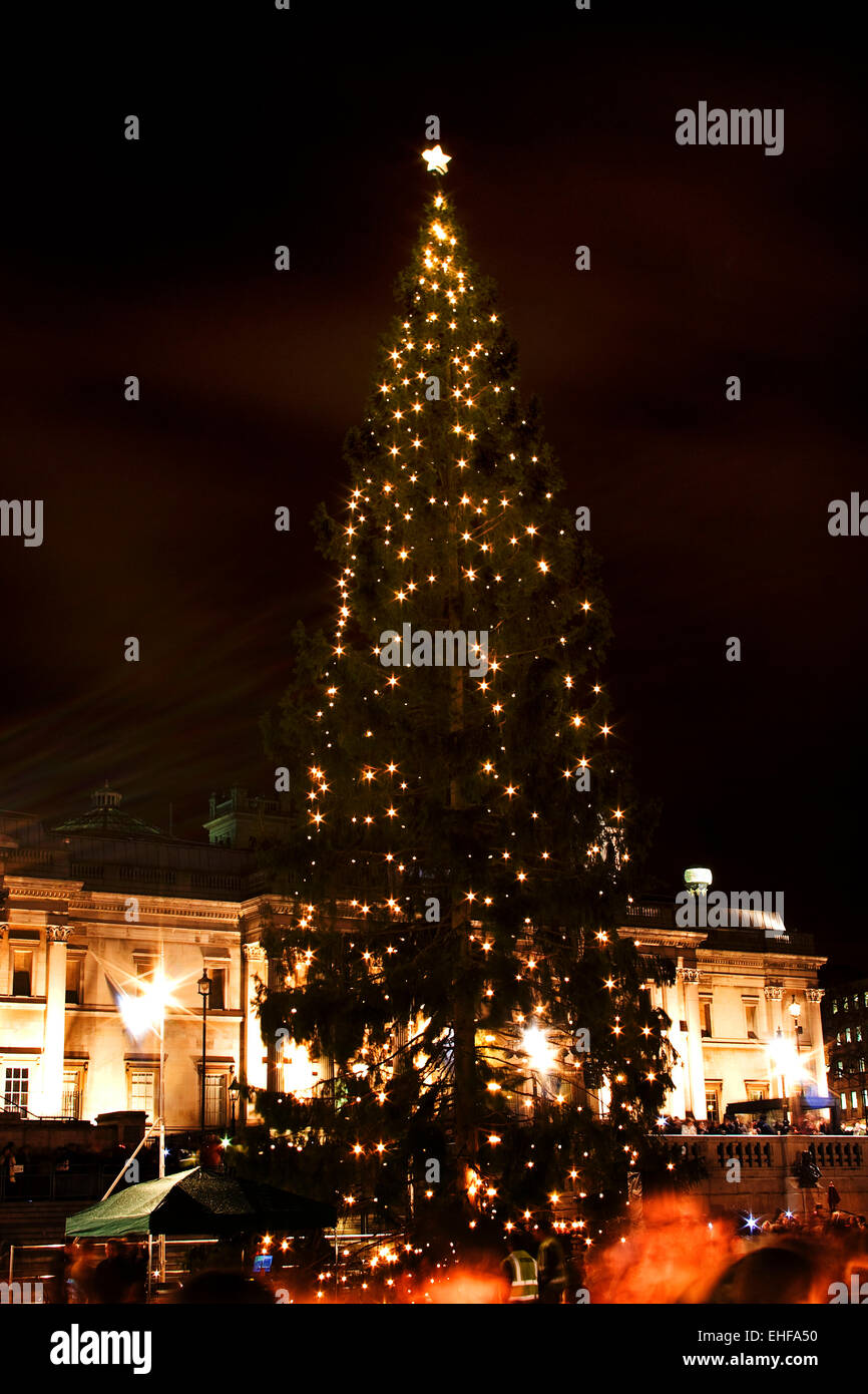 L'albero di Natale in Trafalgar Square a Londra. Foto Stock