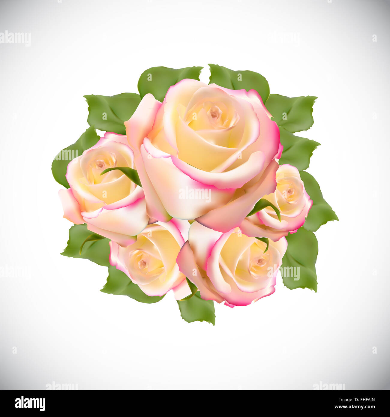 Rosa realistici di alta qualità illustrazione vettoriale Foto Stock