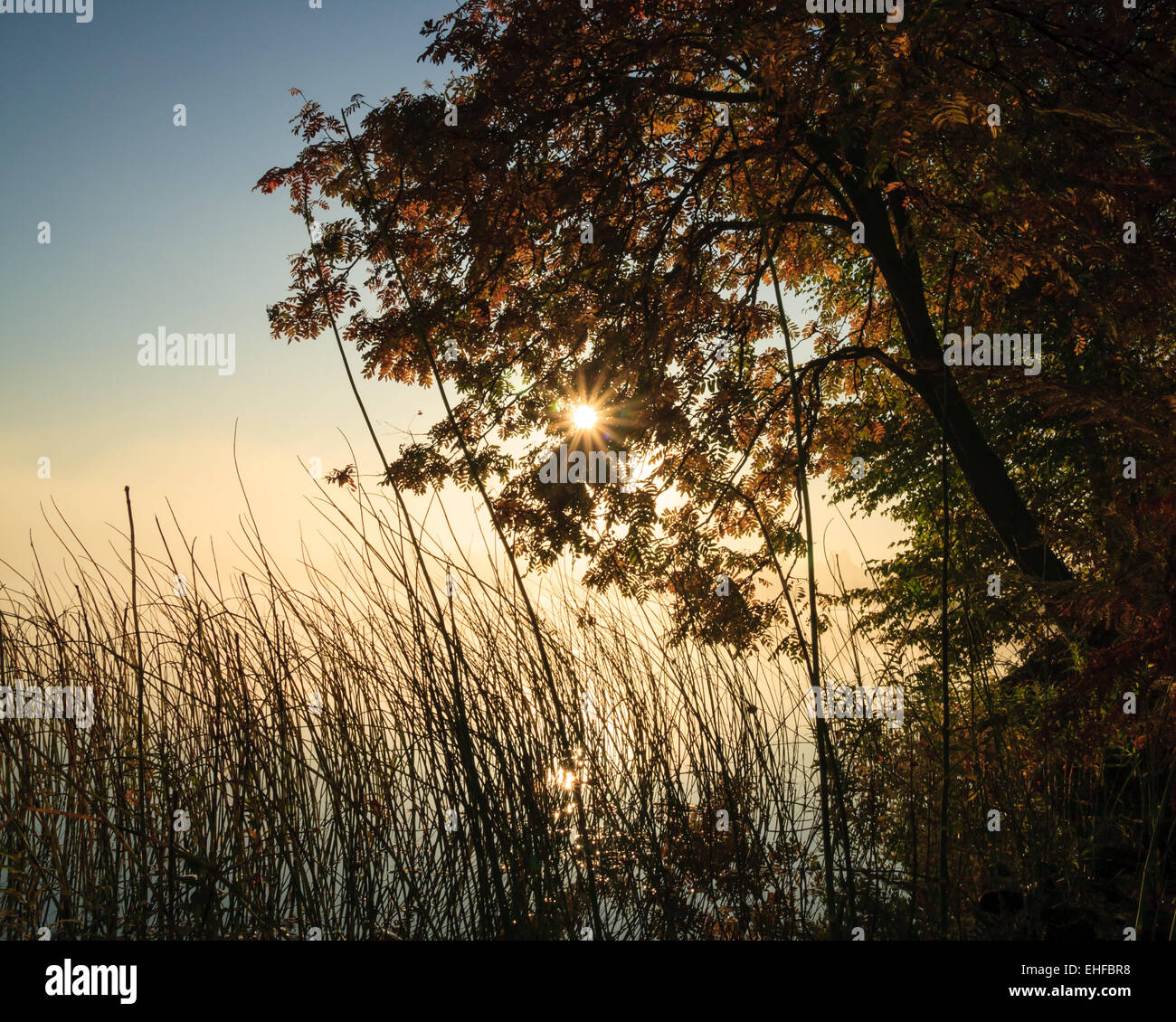 Moody mattina a Lakeside Foto Stock