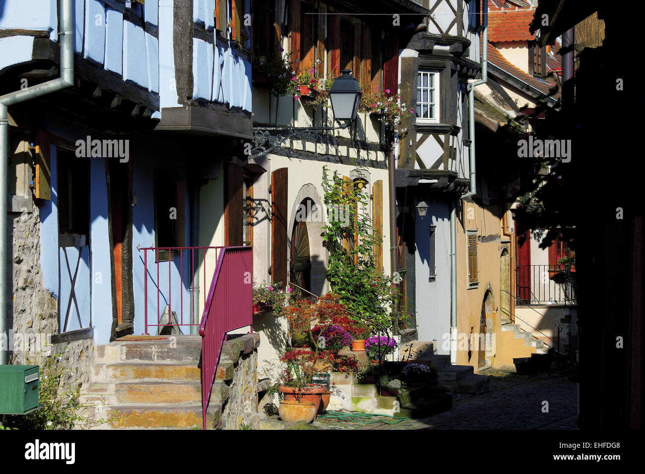 Vicolo lane, Eguisheim, Alsazia, Francia Foto Stock