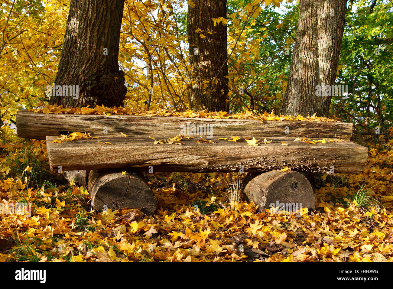 Panca in legno Foto Stock