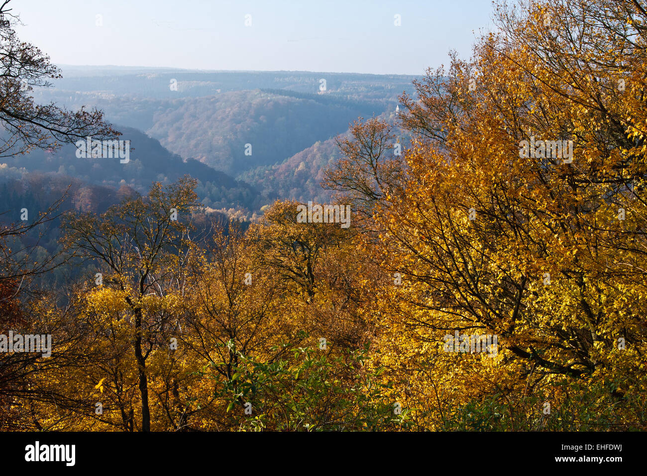 Landscpape in autunno Foto Stock