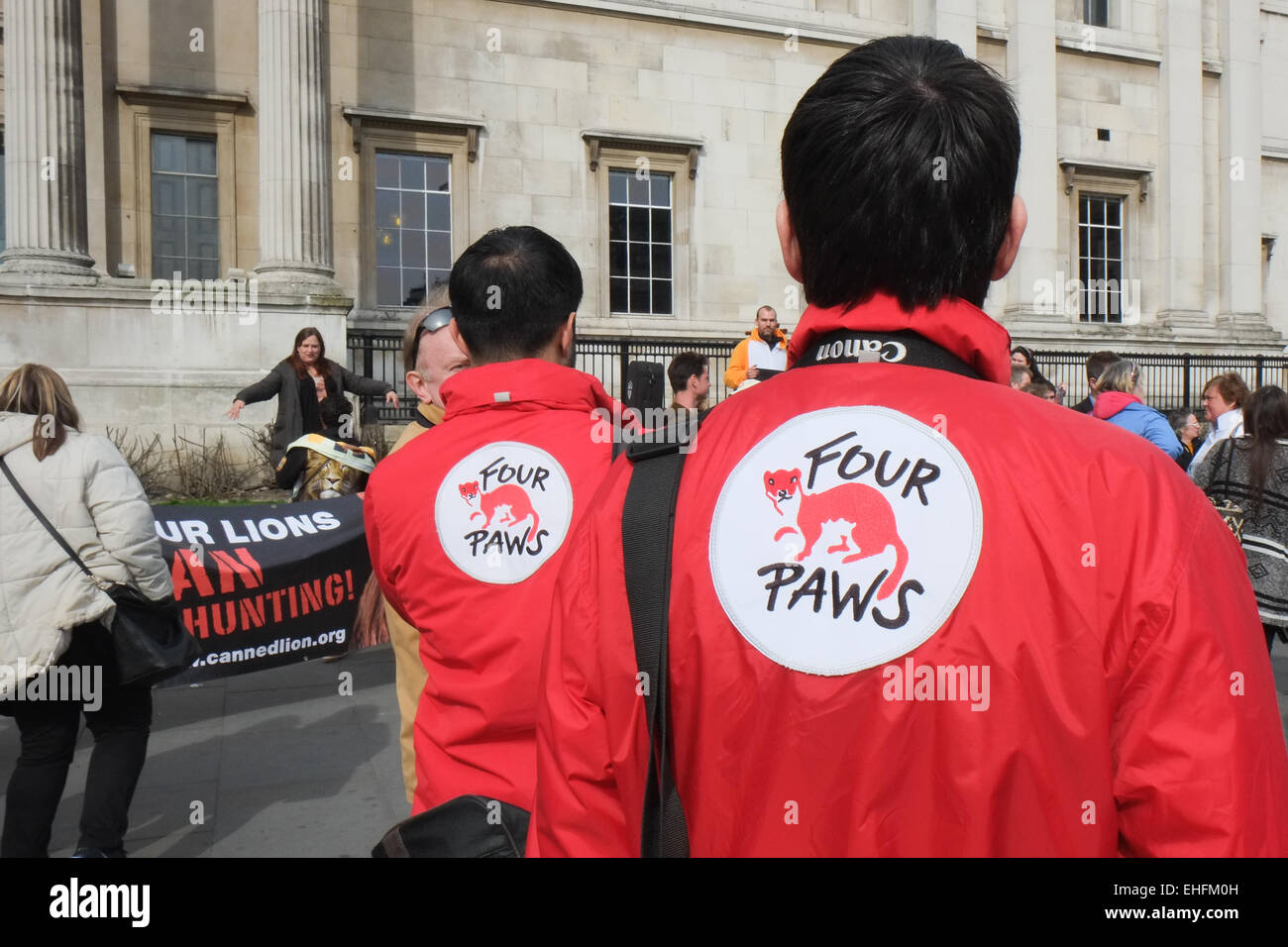 Trafalgar Square, Londra, Regno Unito. 13 marzo 2015. Una marcia globale per i Lions di protesta contro le conserve di Lion ha luogo la caccia in Trafalgar Square. Credito: Matteo Chattle/Alamy Live News Foto Stock