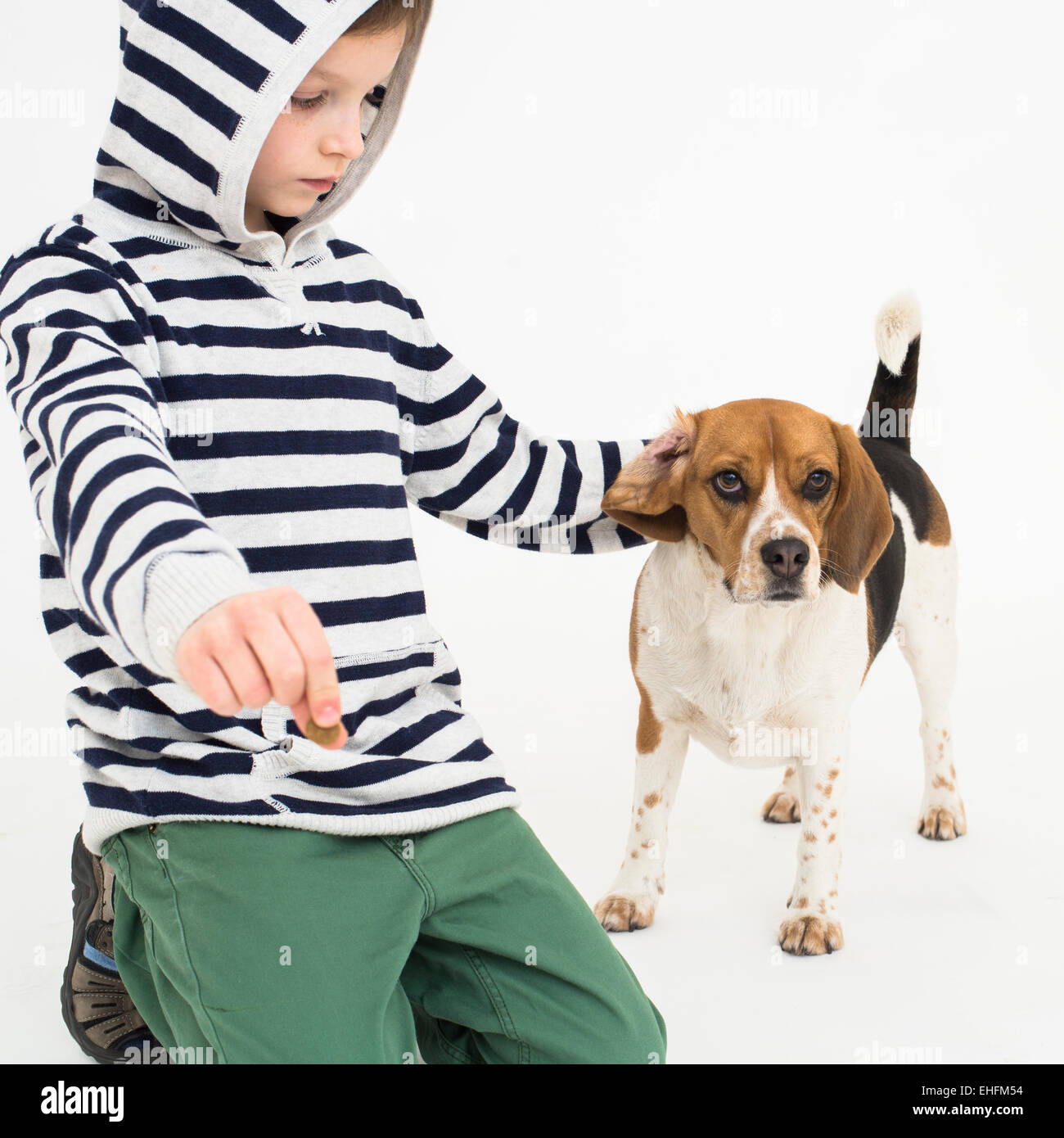 Ragazzo formazione obbedienza al suo cane beagle Foto Stock