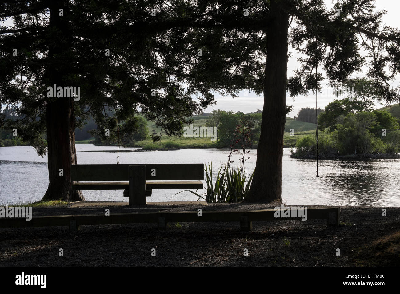 Panca e alberi sul lago in Mc Laren falls park in Tauranga, Nuova Zelanda. Foto Stock