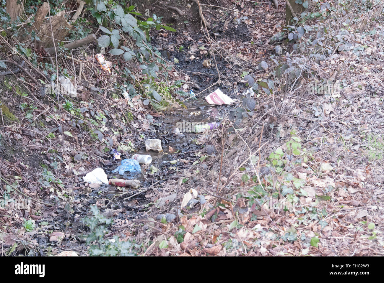 La frondosa corsie di Buckinghamshire... Foto Stock